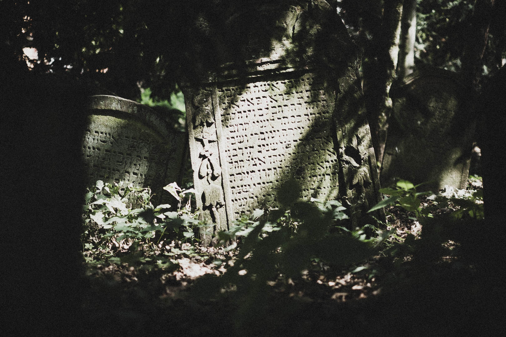 Hanau, Jüdischer Friedhof